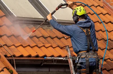 Démoussage et hydrofuge de toiture à Janville
